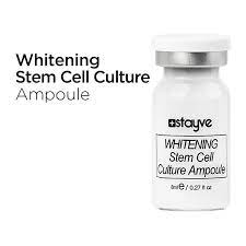 Stayve Booster Ampoule Starter Kit BB glow Serum Korea Stem Cell Samnon DNA EGF Peptides