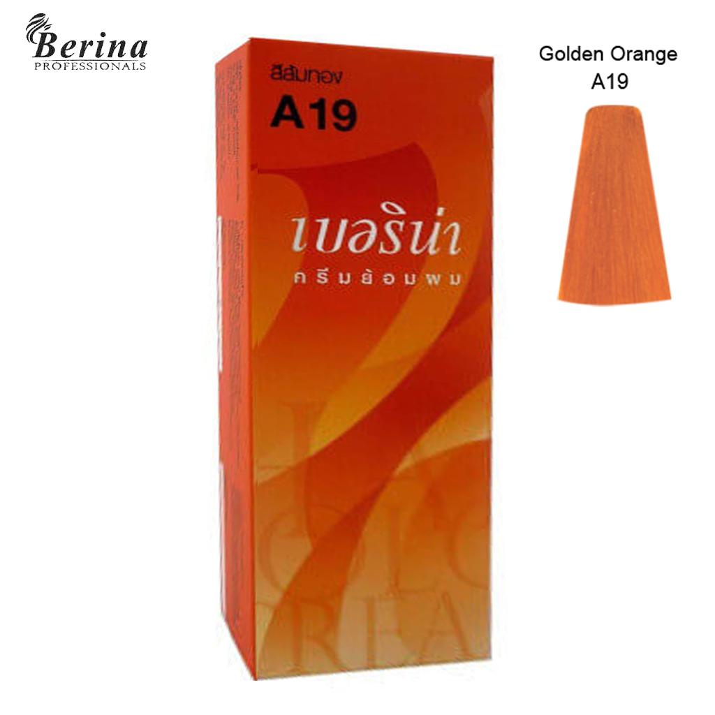 Berina Hair Color Cream A19