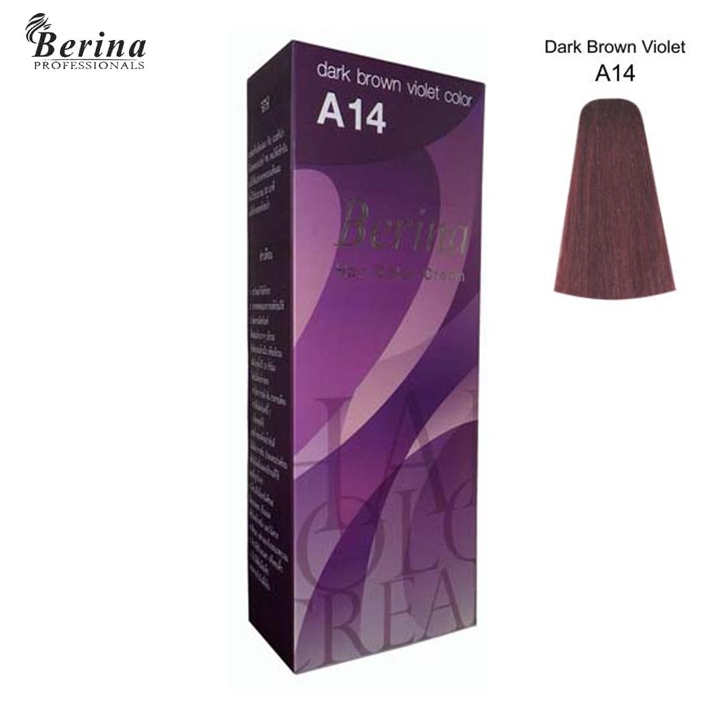 Berina Hair Color Cream A14