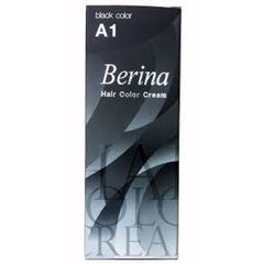 Berina Hair Color Cream A1